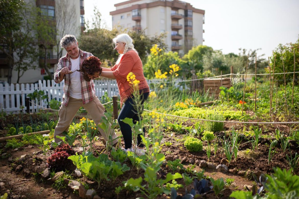 Hoe een klimaatdoek en slimme technieken je moestuin vrij van plagen houden Hoe een klimaatdoek en slimme technieken je moestuin vrij van plagen houden